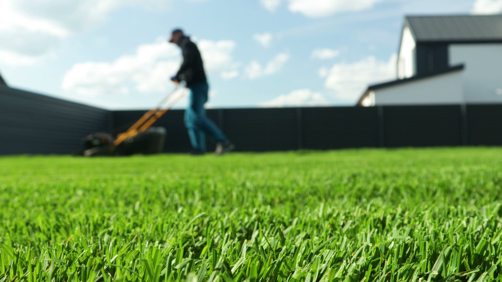 Lawn & Landscape